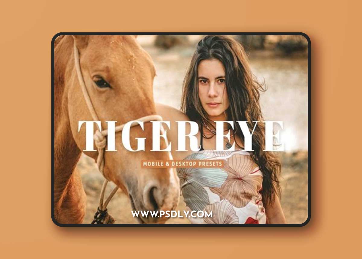 Tiger Eye Mobile & Desktop Lightroom Presets 5JN47NP