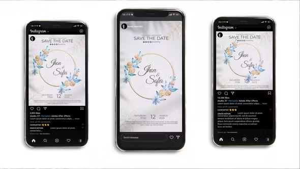 Videohive Wedding Intro (3 in 1) 41976890