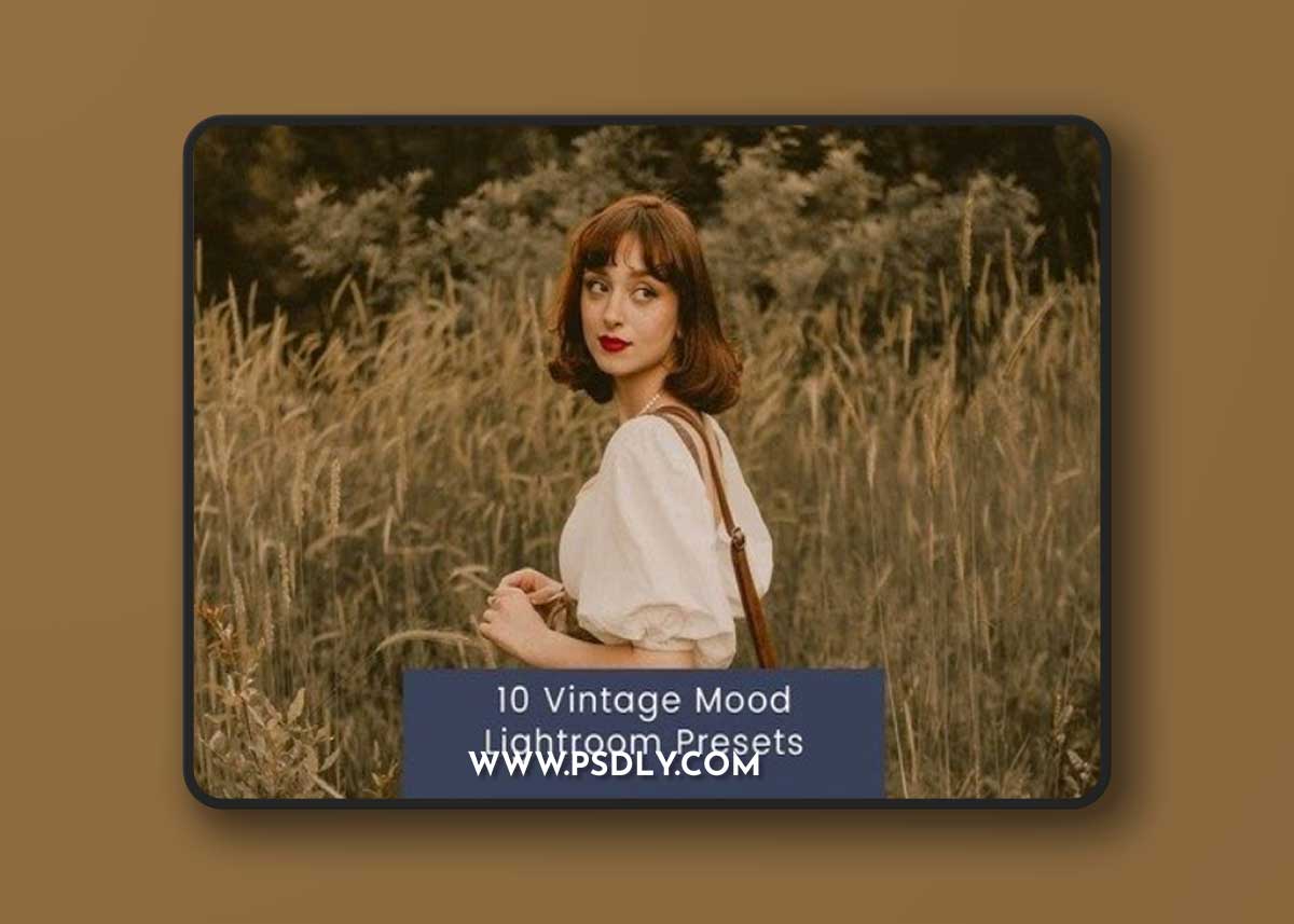 10 Vintage Mood Lightroom Presets ZTRFEZJ
