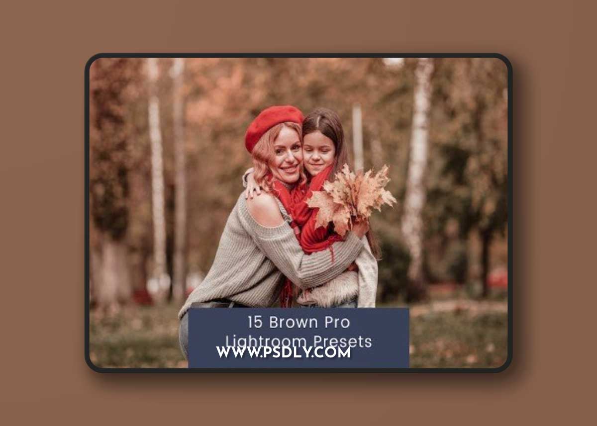 15 Brown Pro Lightroom Presets