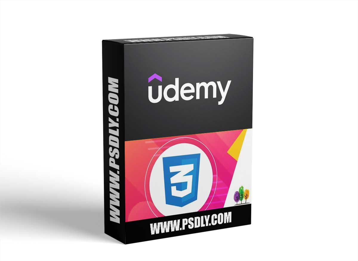 Css For Everyone: Learn Css3 From Scratch