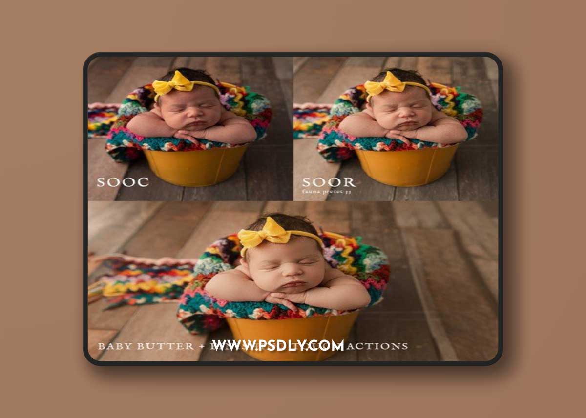 Jessica G Fauna Lightroom Presets