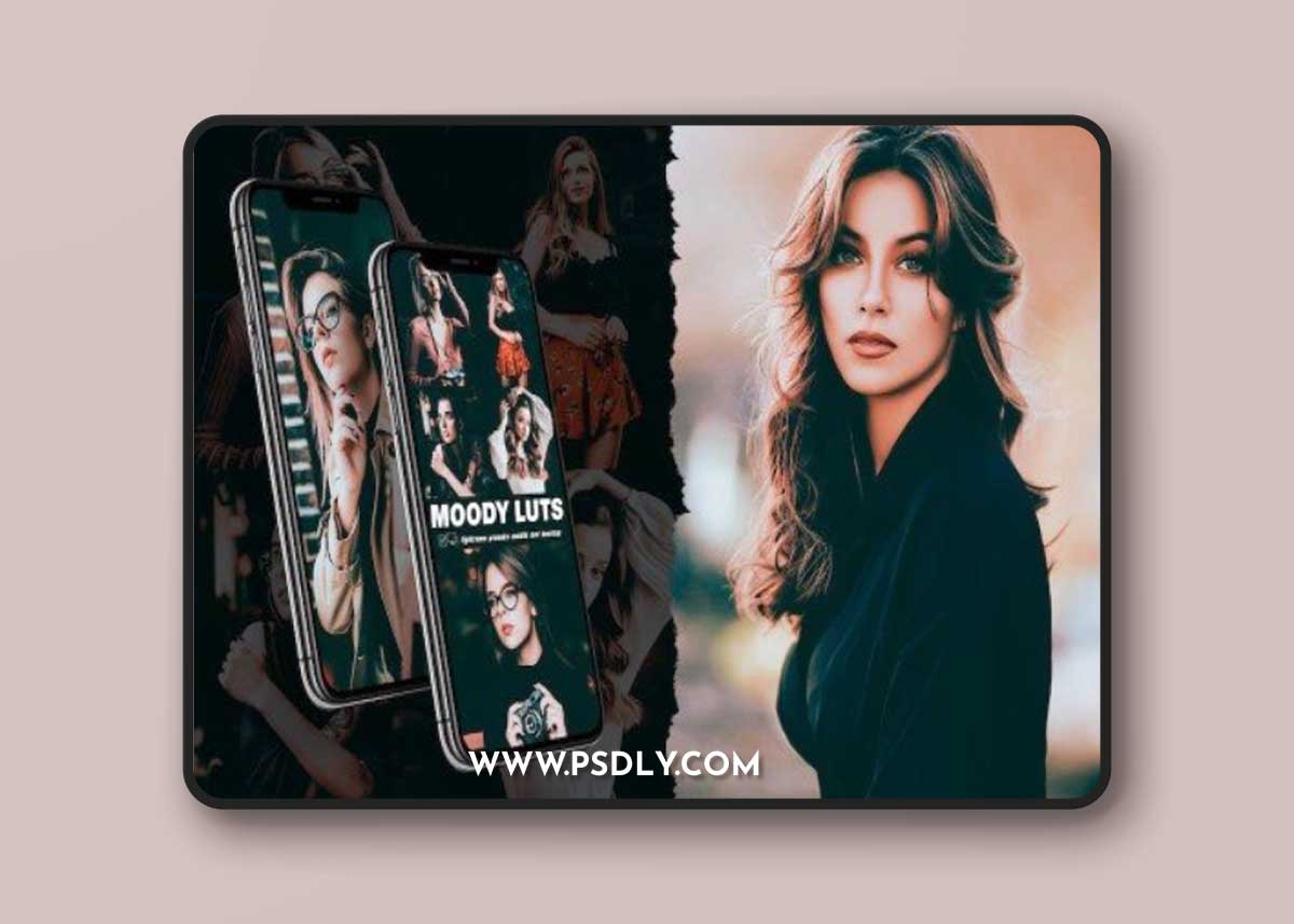 Moody LUTS Lightroom Presets Mobile and Desktop