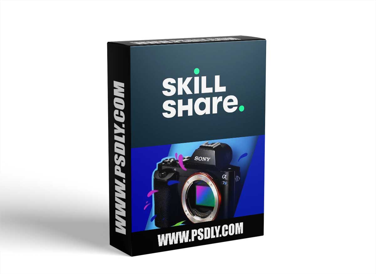 Photography for Beginners : Take Better Photos Today!