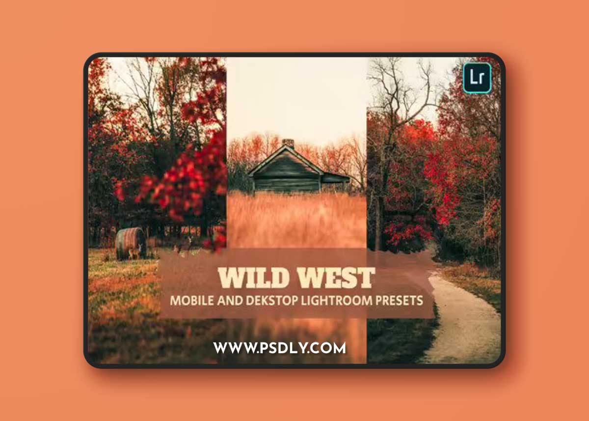 Wild West Lightroom Presets Dekstop and Mobile