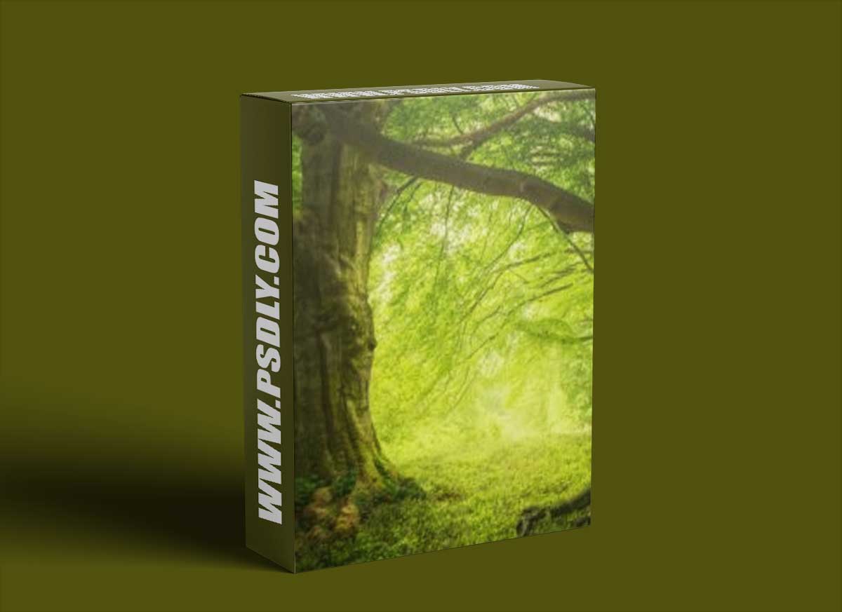 Adrian Sommeling - Magic Forest Speed post process