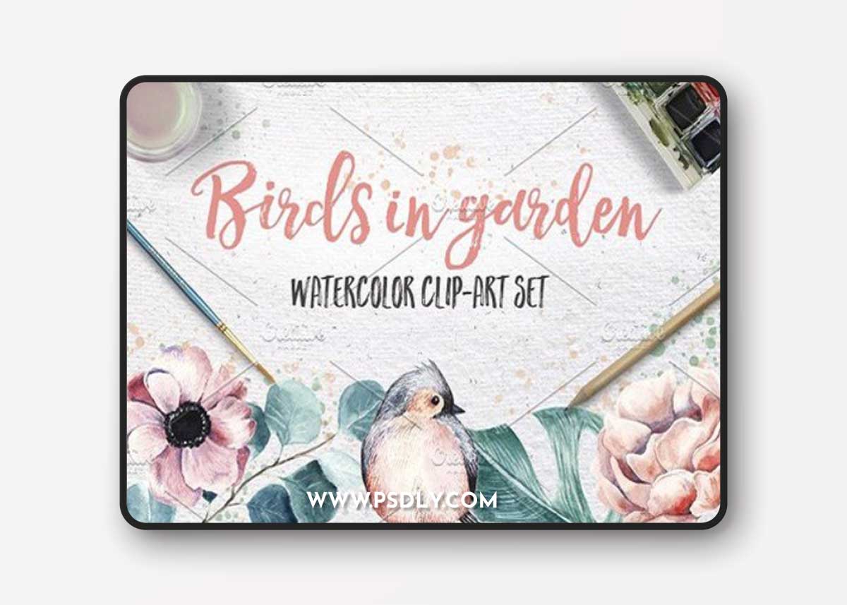 BIRDS IN GARDEN Watercolor clip art
