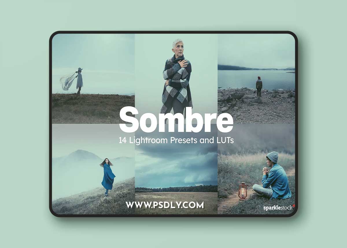 Creativemarket - 14 Sombre Lightroom Presets and LUTs 12720302