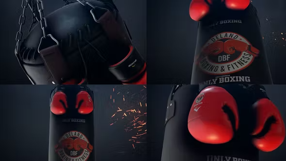 Videohive Boxing Gloves Logo Reveal 25009365