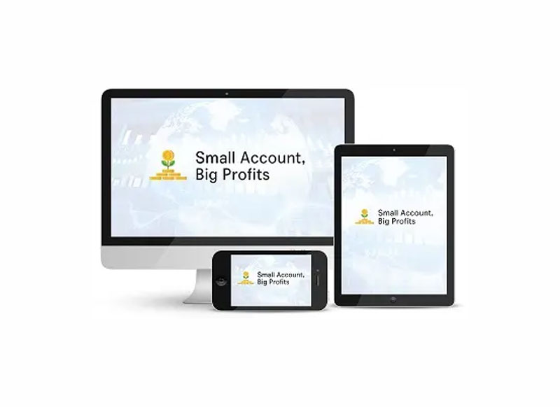 Walter Peters Small Account Big Profit Download