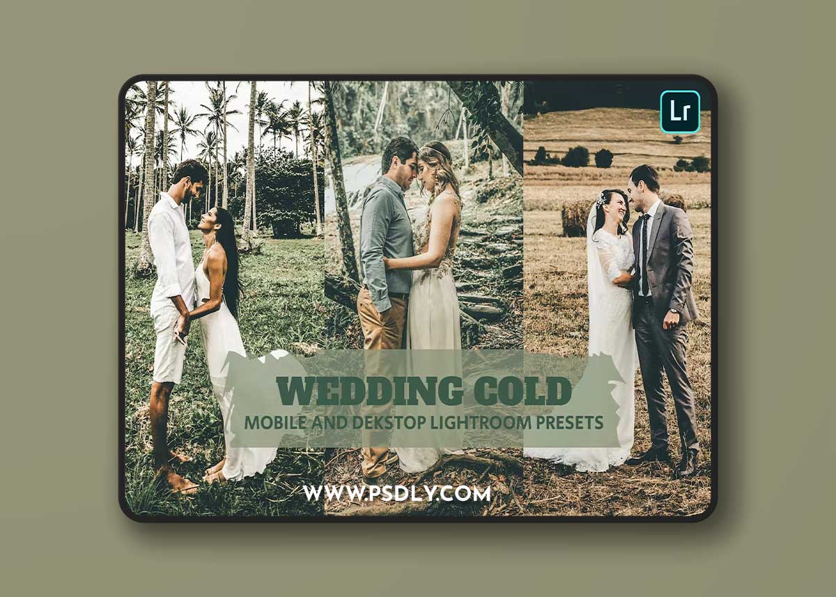 Wedding Cold Lightroom Presets Dekstop and Mobile U4773MV