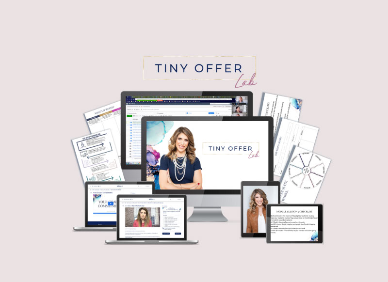 Allie Bjerk Tiny Offer Lab Download