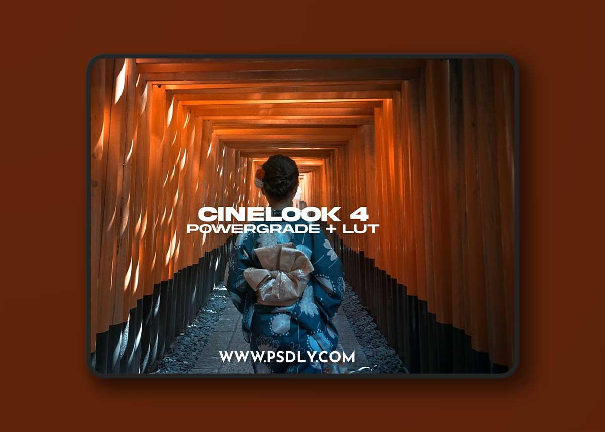 Nomadic George - CineLook 4 DaVinci Resolve PowerGrade + LUT (2023)