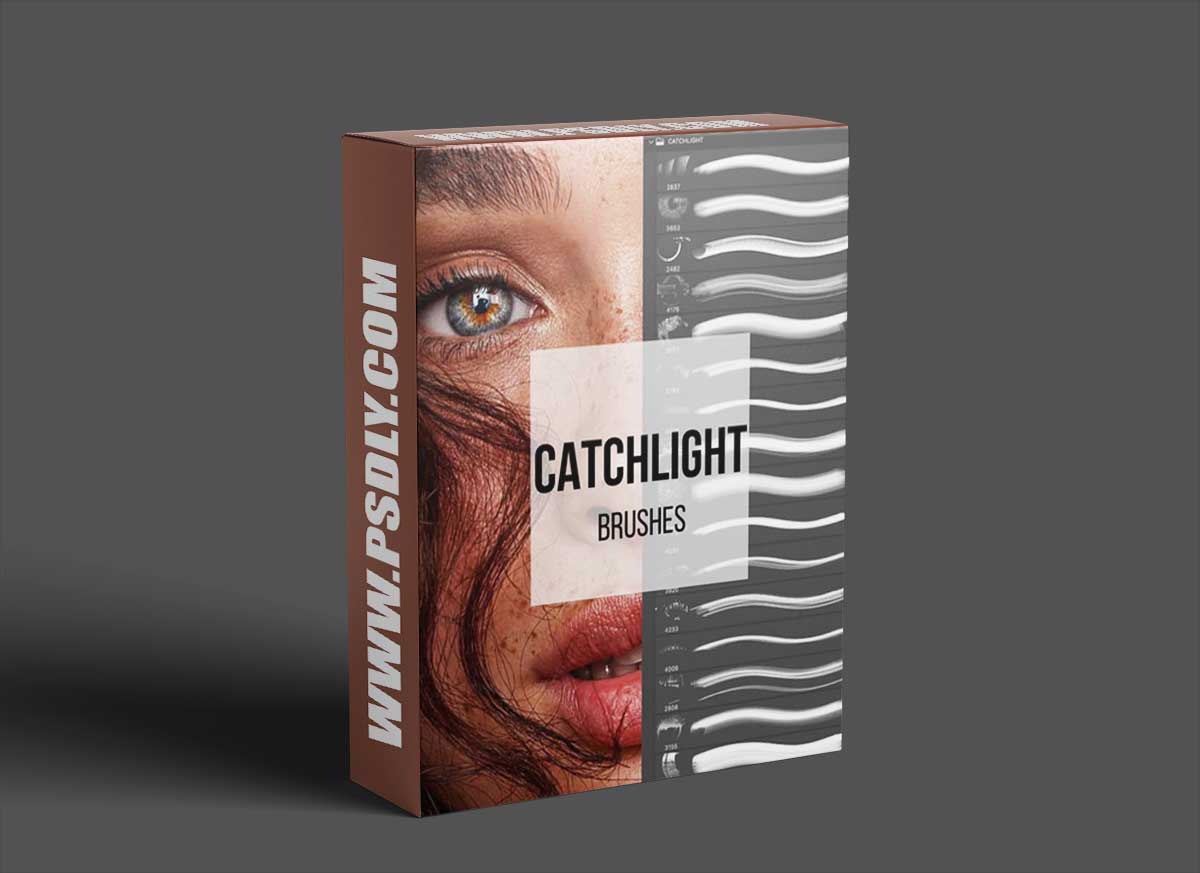 Tamara Williams – Catchlight Brushes