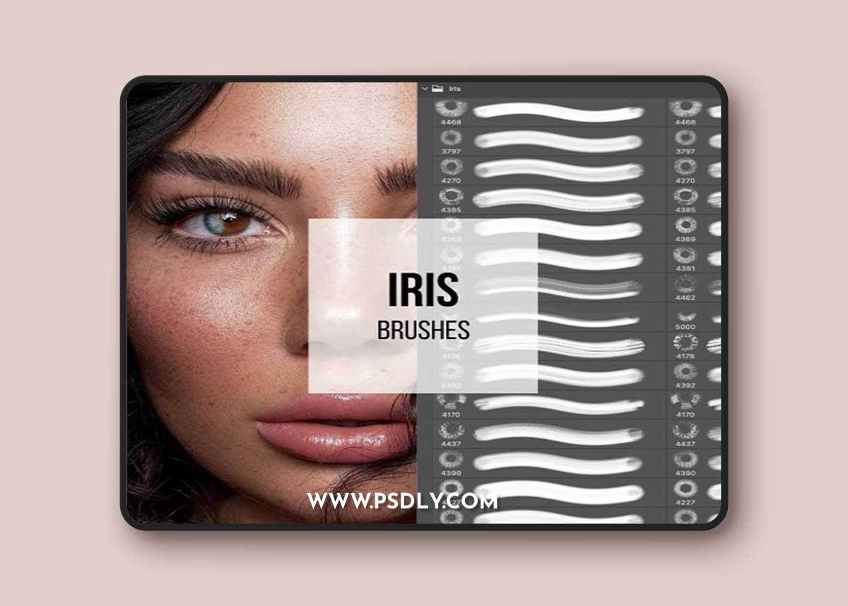 Tamara Williams - Eye Brush Set for Photoshop & Procreate