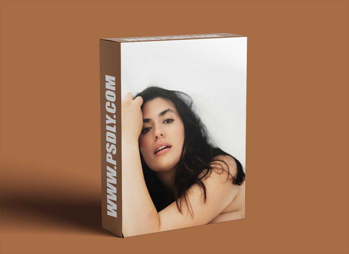 The Portrait Masters - Classic Boudoir in the Sheets