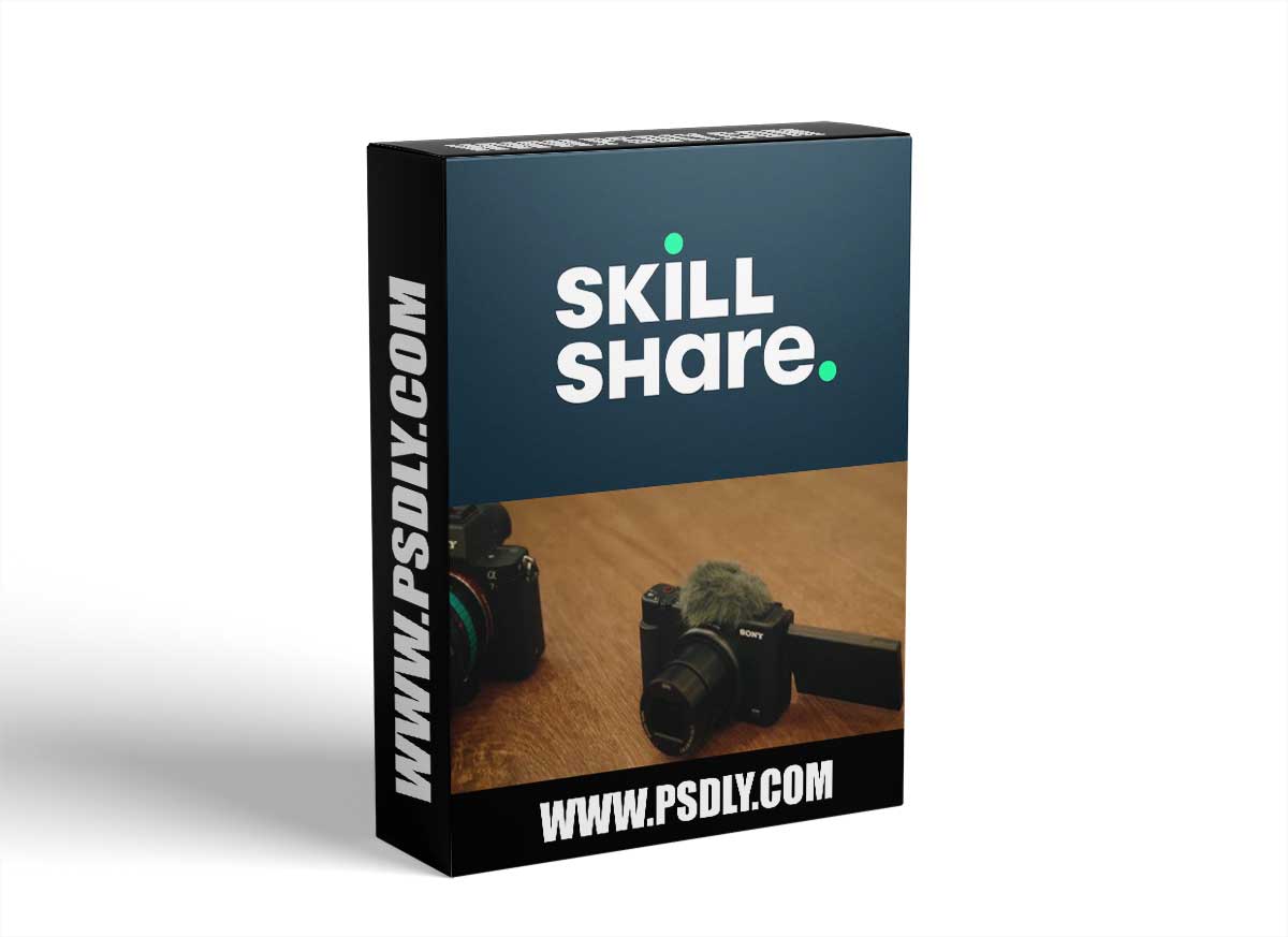 Video Camera Stabilization Master Class