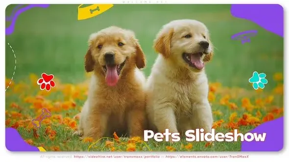 Videohive Welcome Pet 44373316