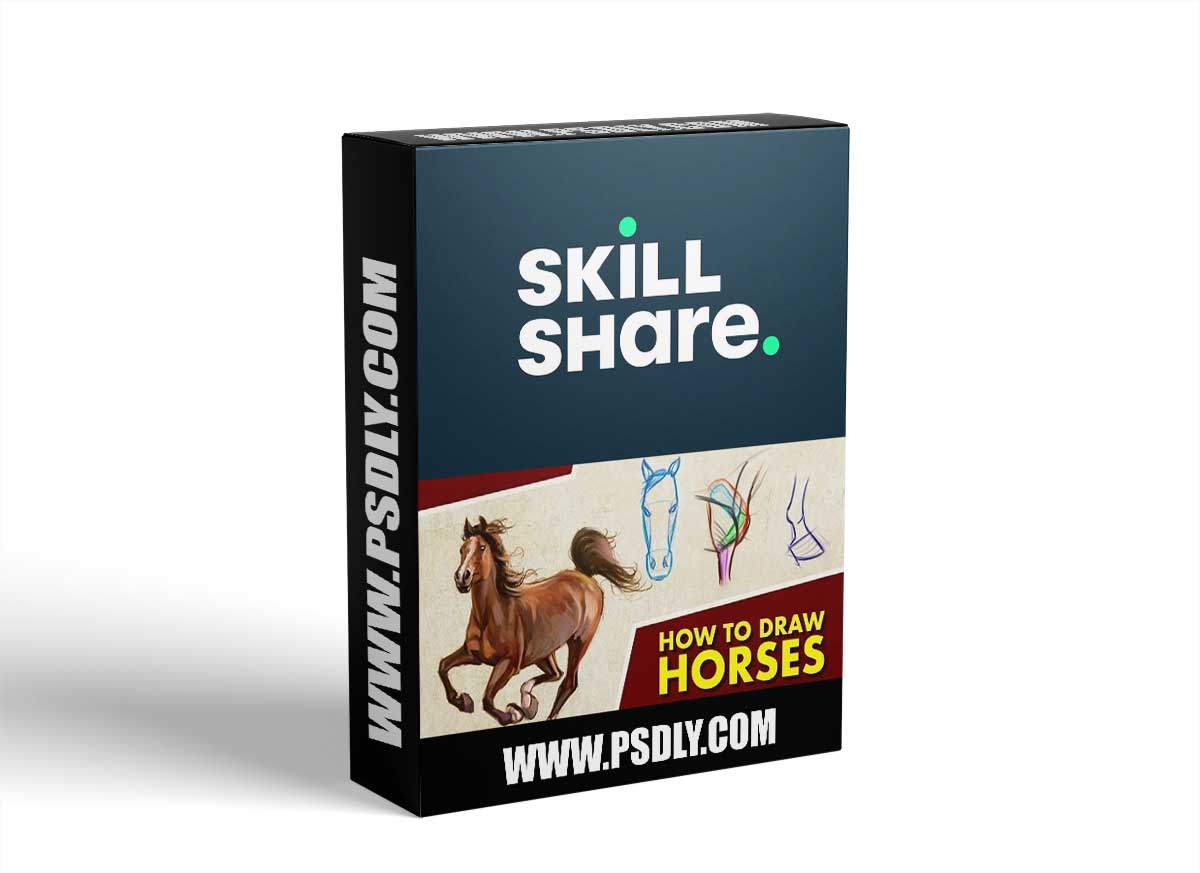 How To Draw Horses - A Beginner's Guide