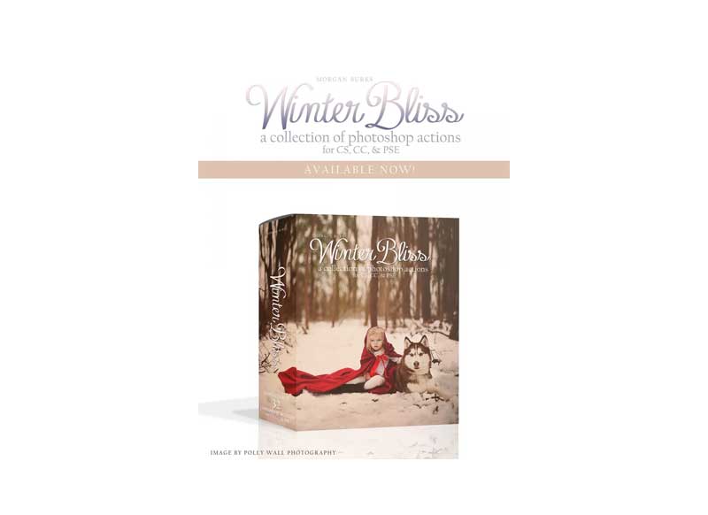 Morgan Burks – Winter Bliss Actions Collection