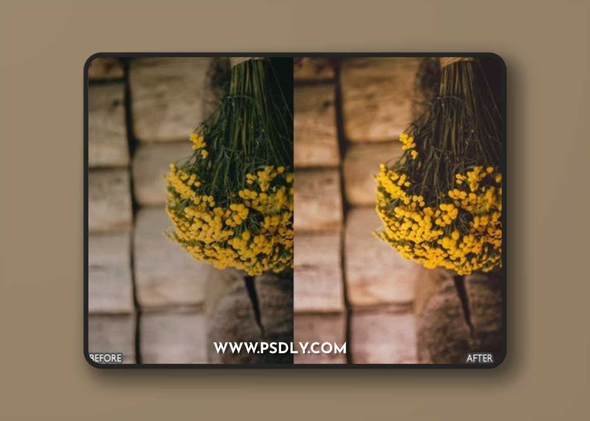 Nature Lightroom Presets for mobile and desktop