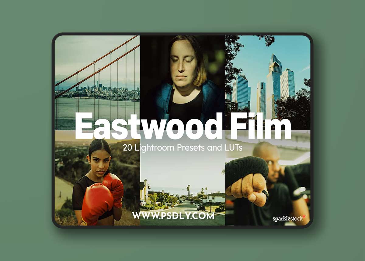 Creativemarket - 20 Eastwood Film Lightroom Presets 16067642