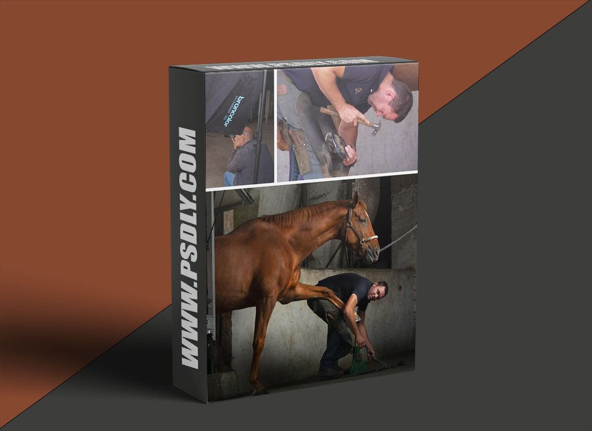 Karl Taylor - Environmental Portraits: Farrier