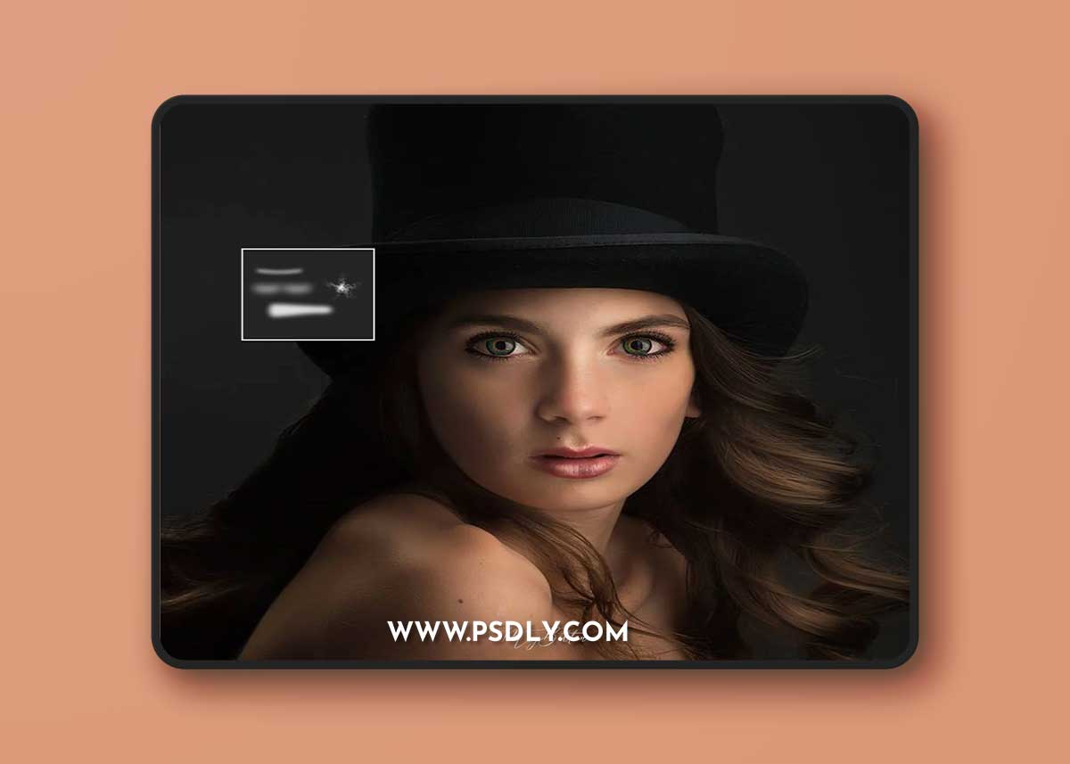 Meg Bitton - Lip Light Brushes