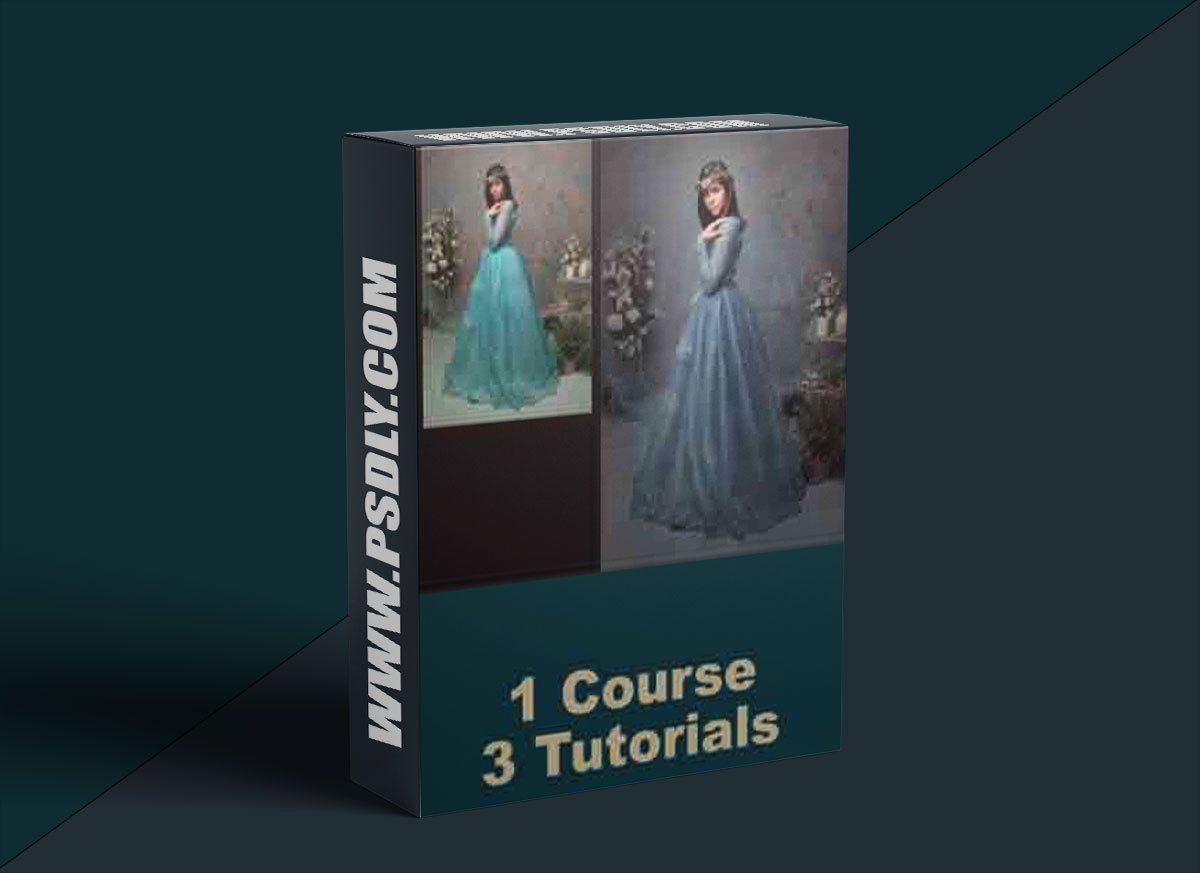 Nikki Harrison-Three Portraits Editing Course