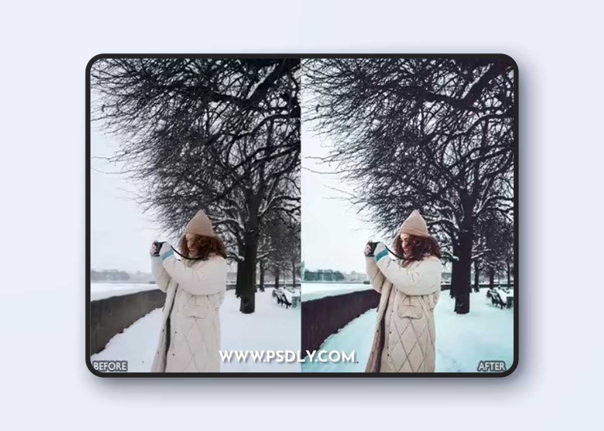 Snow Winter Lightroom Presets