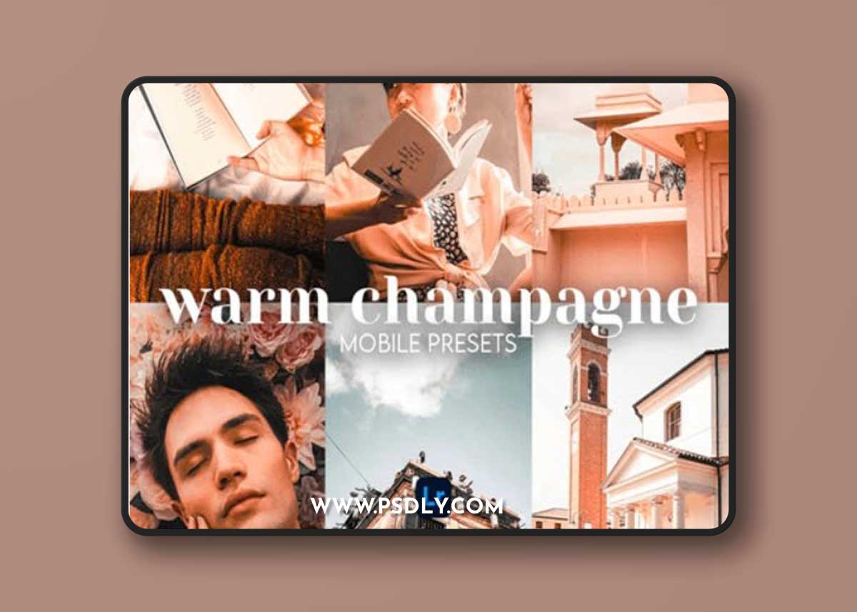 Warm Champagne Mobile Lightroom Preset