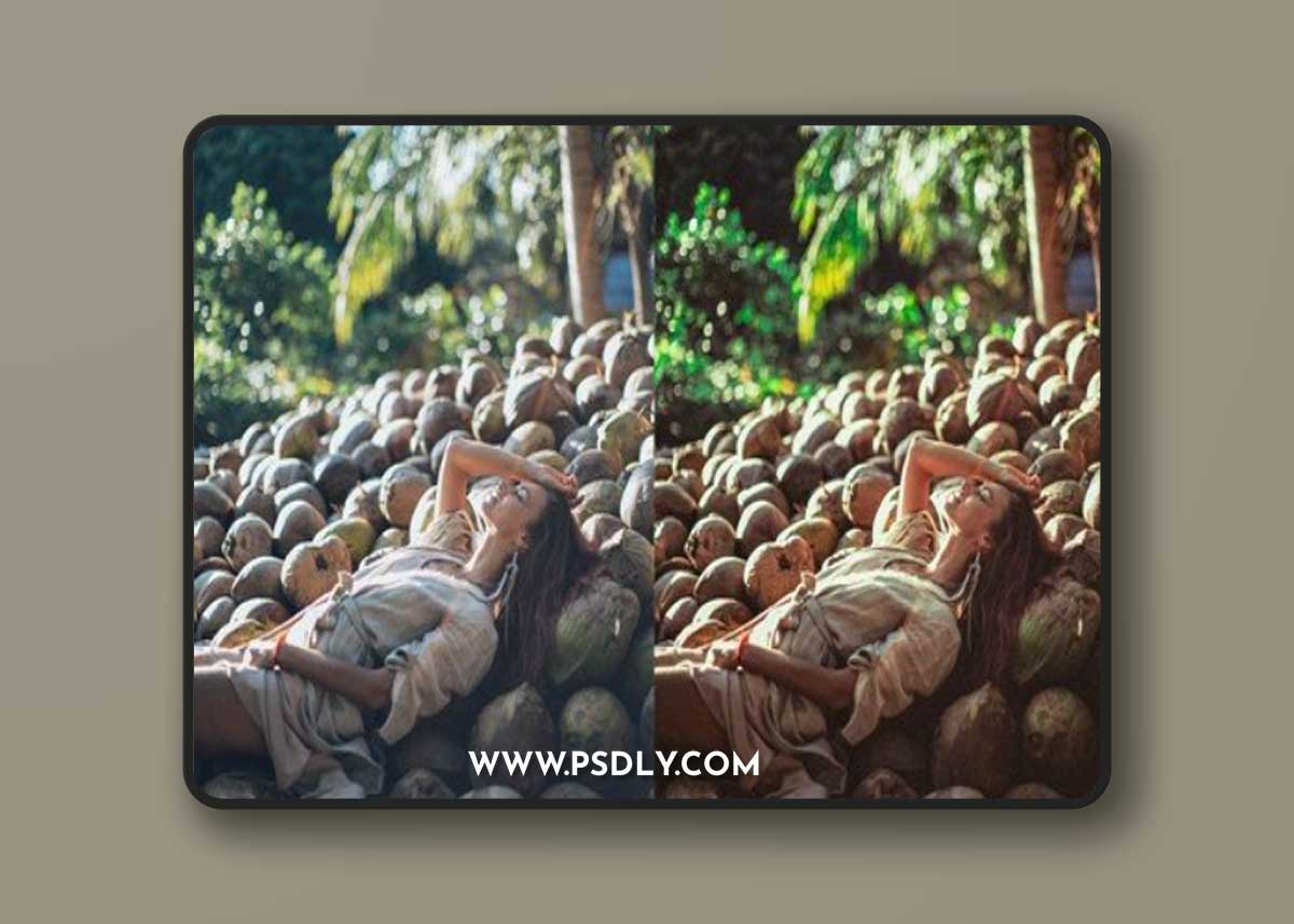 Best Landscape and Nature Lightroom Presets UXSLQPC