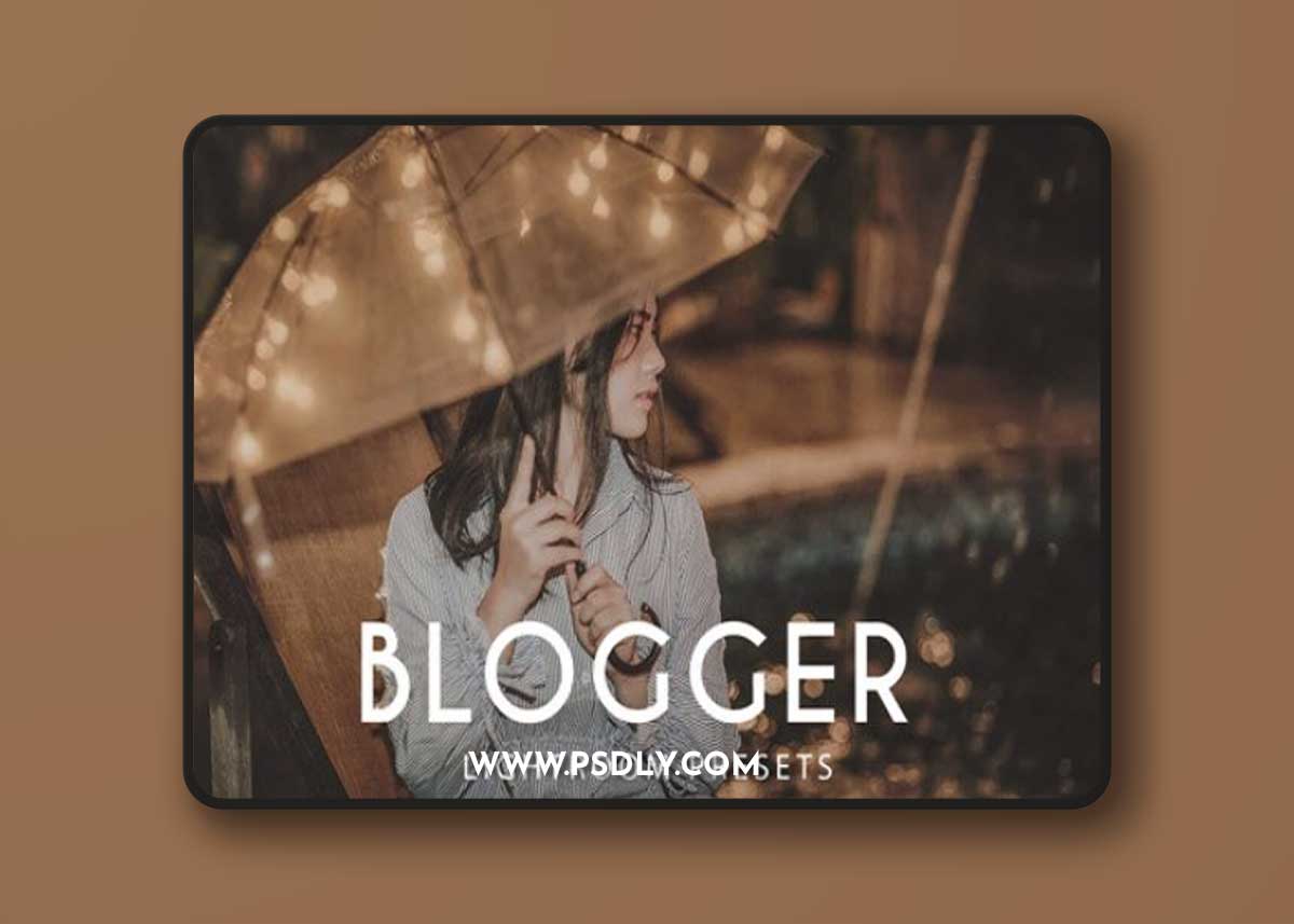Blogger Presets Collection for Lightroom