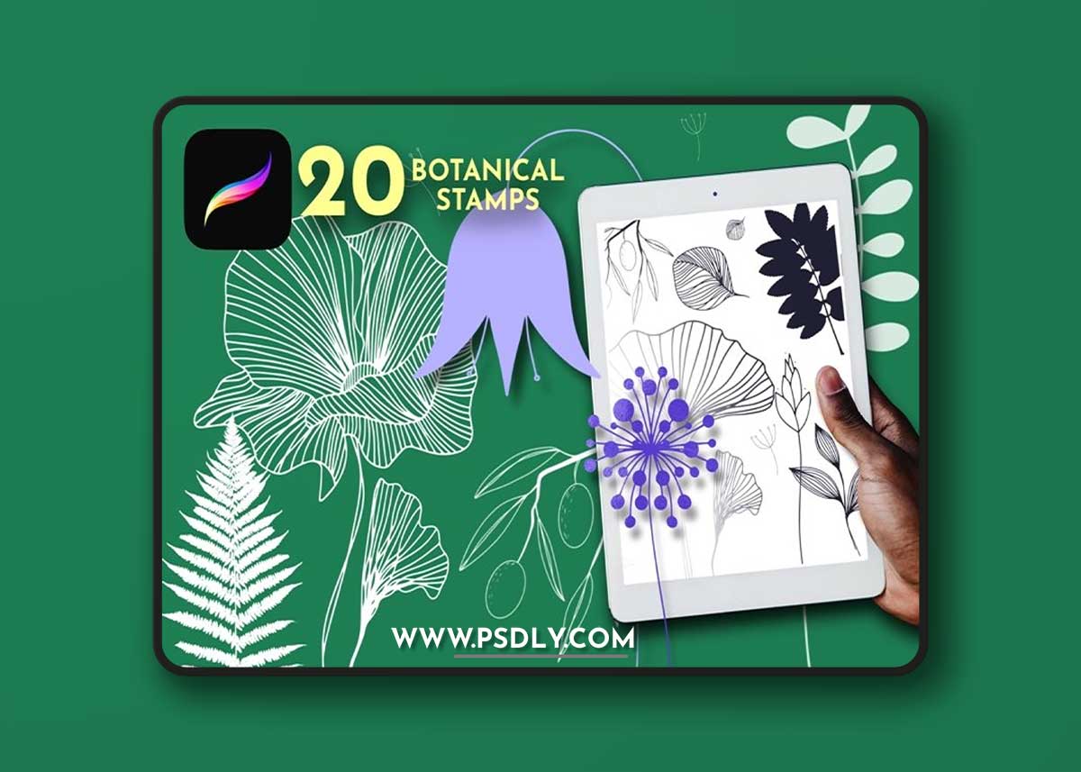 Botanical Procreate brush, floral ipad stamps, tattoo stamp