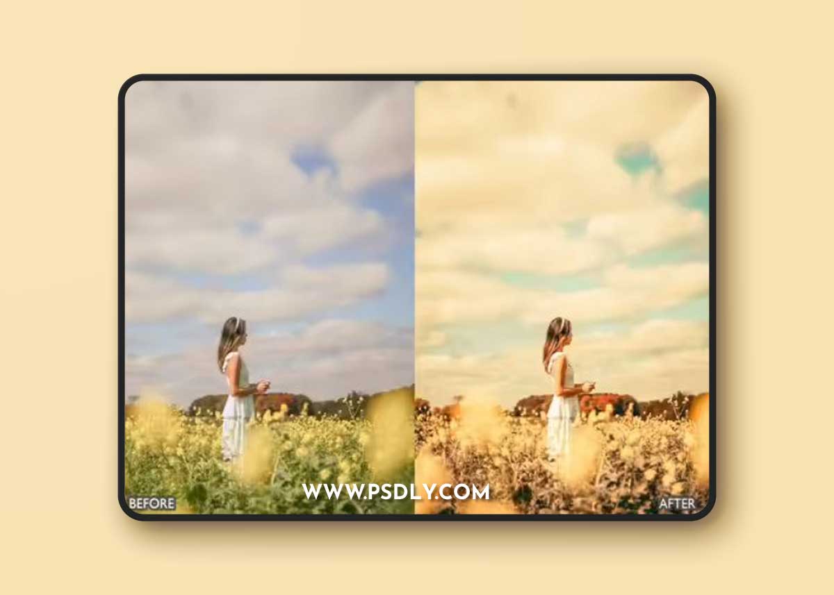 Light Airy Bright Natural Creamy Skin LR Presets