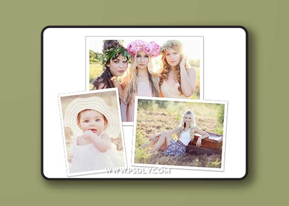 Michelle Kane Photography: Botanical Blends Collection