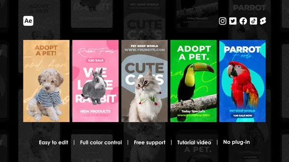 Videohive Veterinary Instagram Reels 45959777