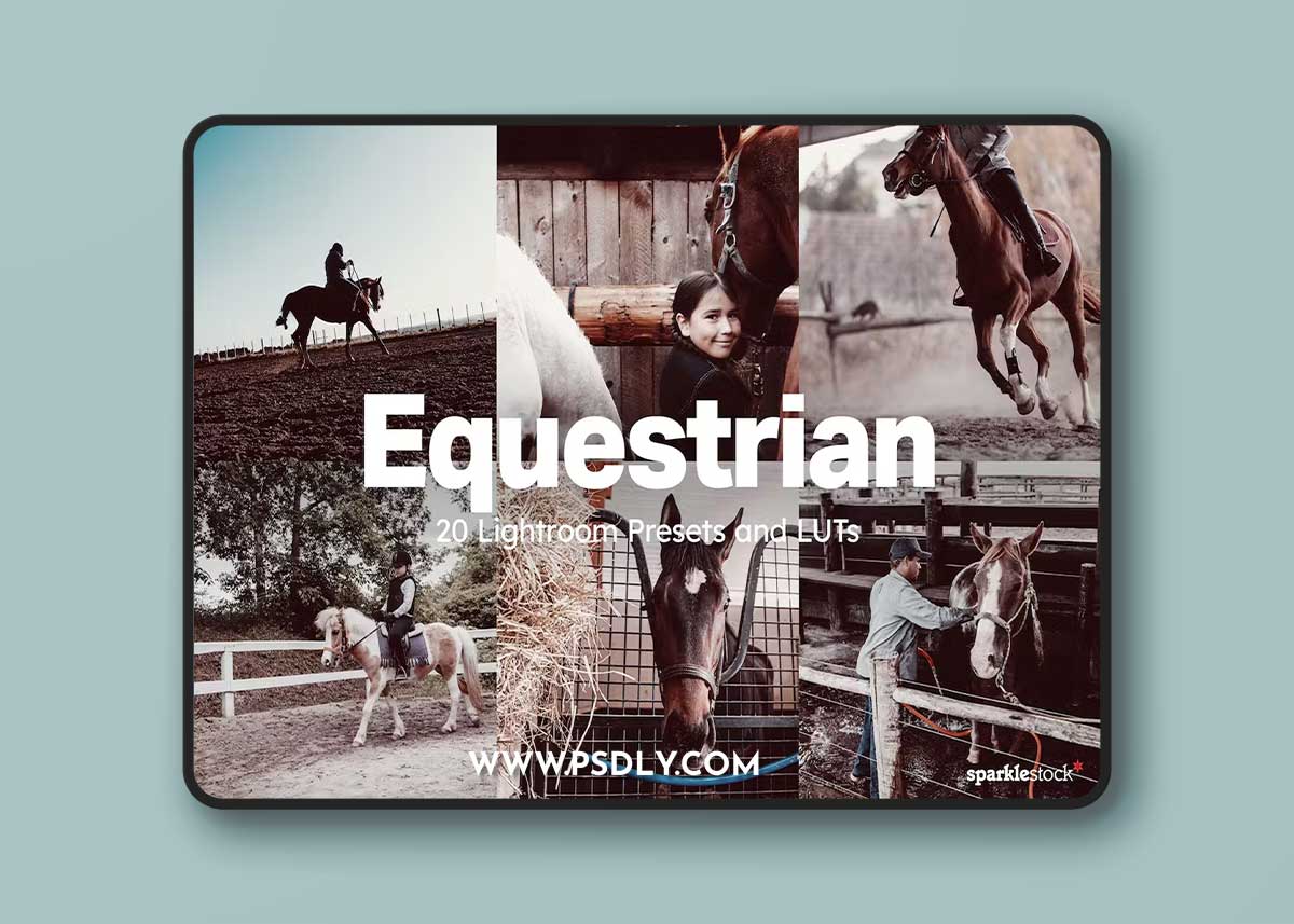 20 Equestrian Lightroom Presets and LUTs D4KVSRA
