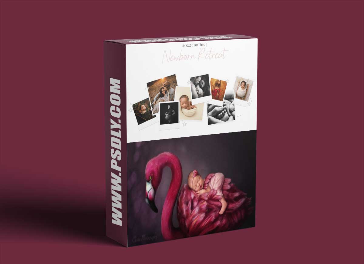 Aoife Millea - Artistic Newborn Composites