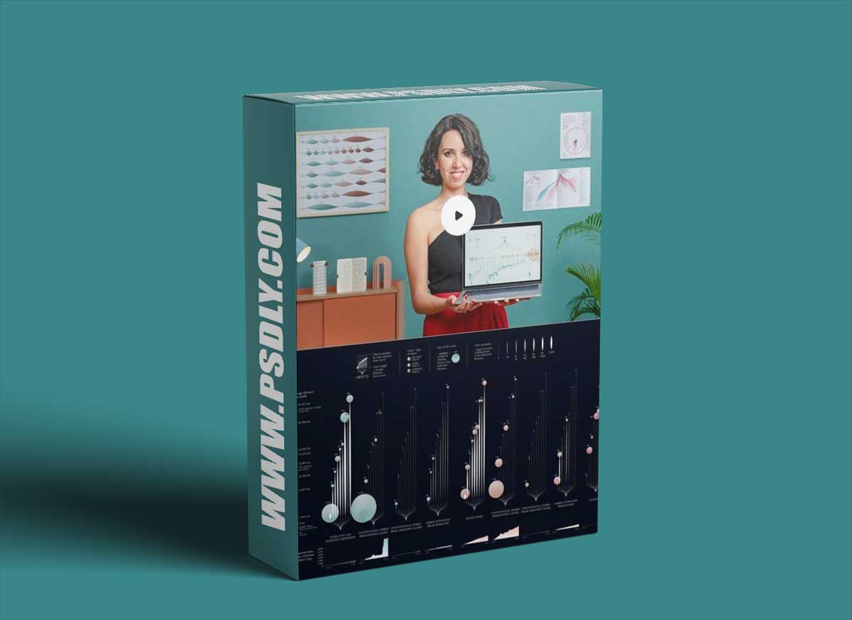 Domestika - Creative Data Visualization for Narrative Designs