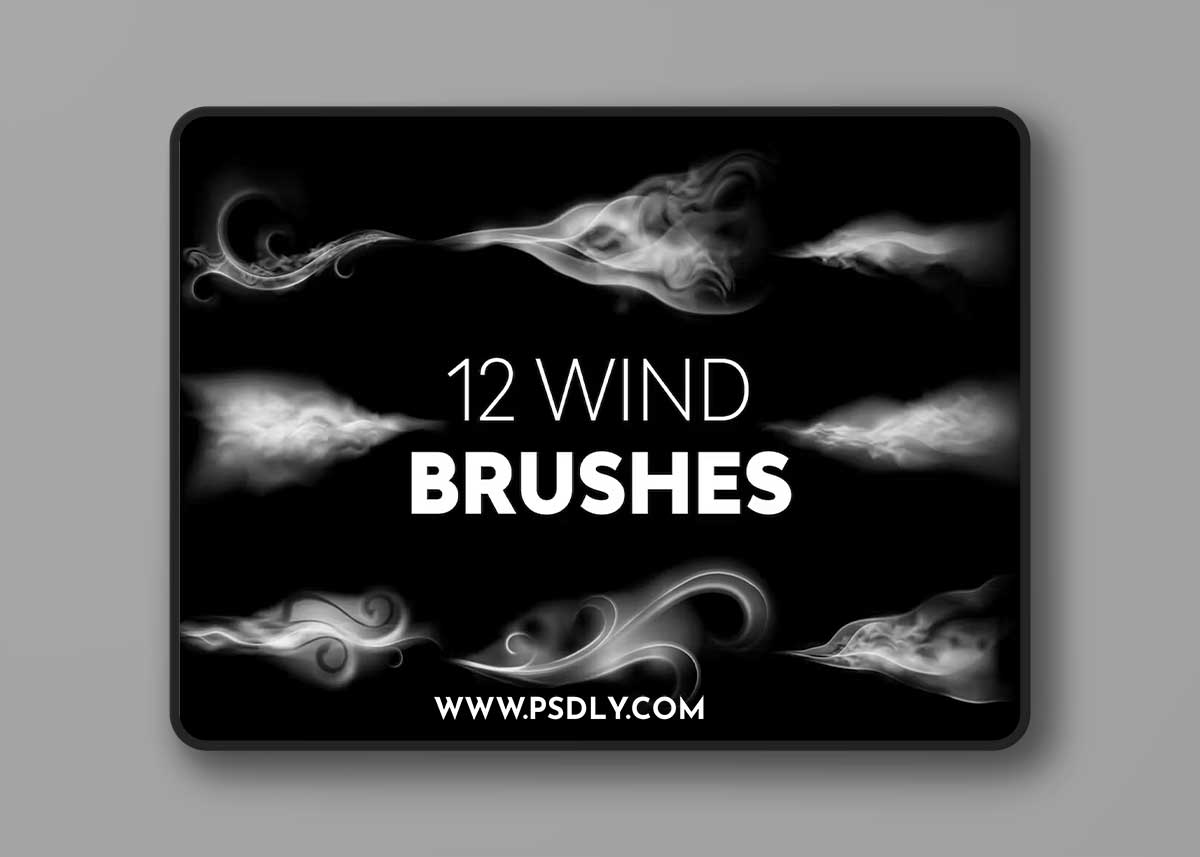 Wind Brushes SWJHZYW