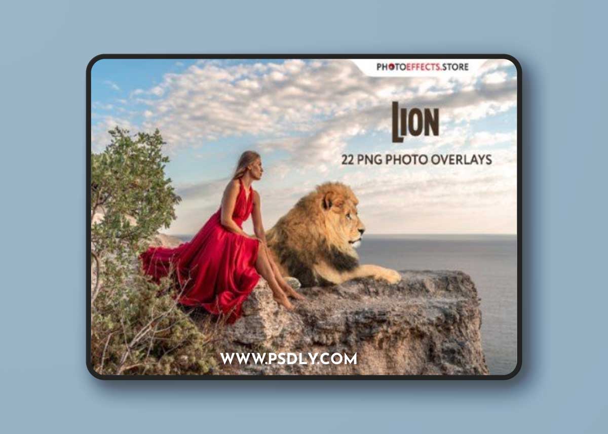 22 Lion Photo Overlays
