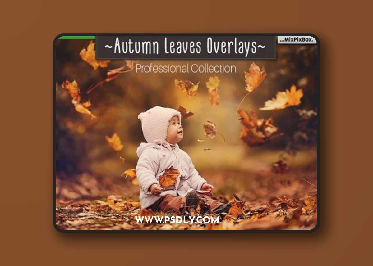 Autumn Leaves Overlays