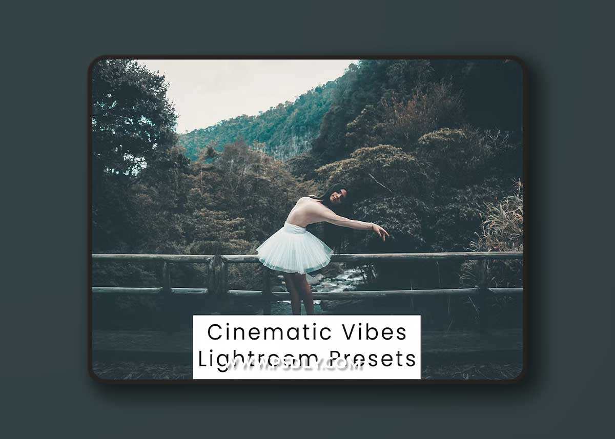 Cinematic Vibes Lightroom Presets 4FC9HJB