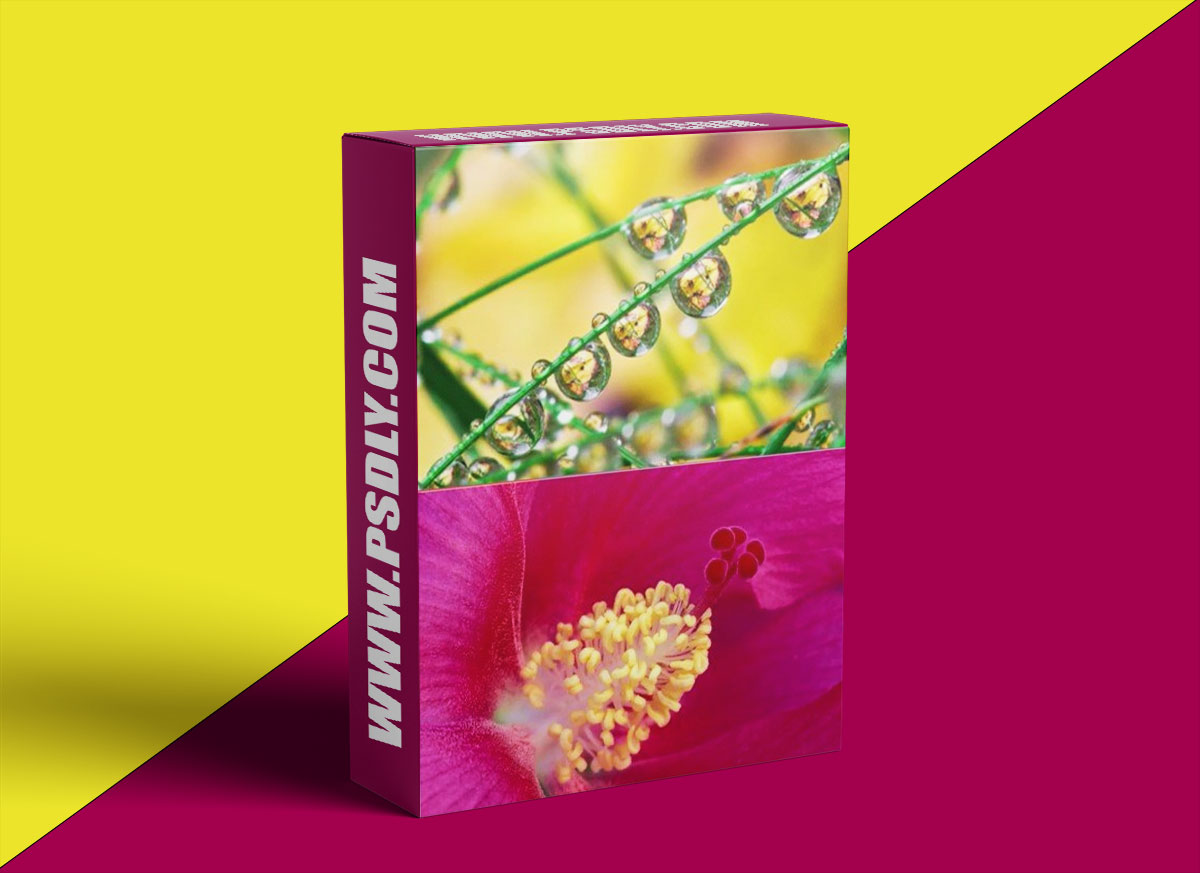 Close-Up Nature Photography: Beyond the Basics