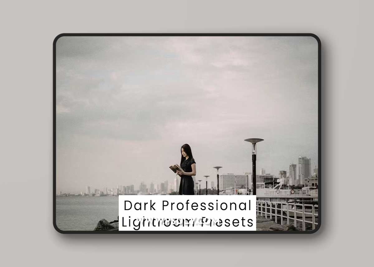 Dark Professional Lightroom Presets RC846AP