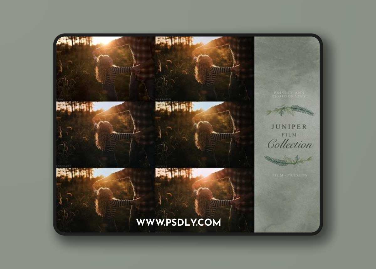 LIGHTROOM Presets - Paisley Ann Photography - JUNIPER FILM COLLECTION