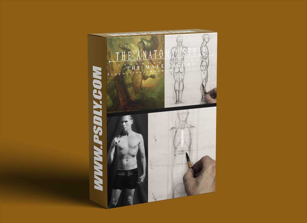 The Anatomy Of Style: Learning To Draw: The Male Figure