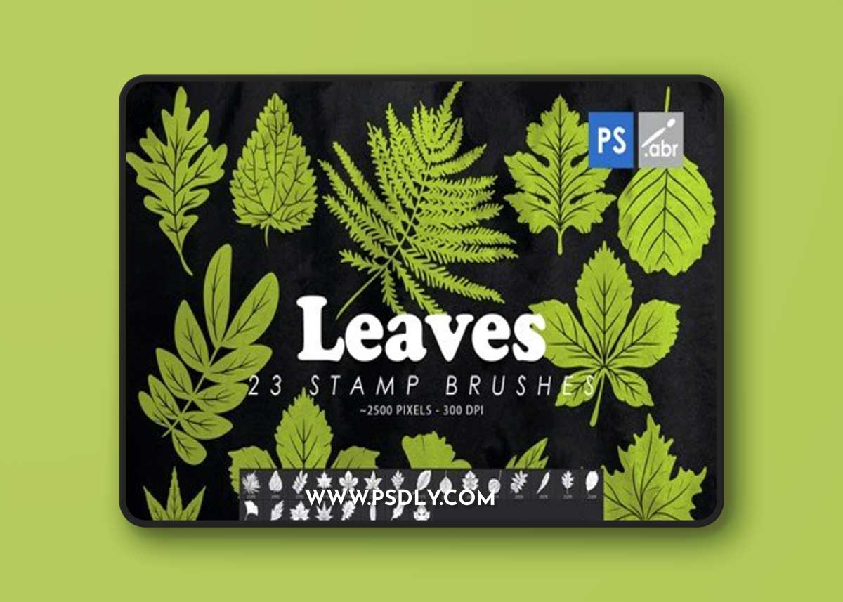 23 Leaves Photoshop Stamp Brushes VNK8QT3