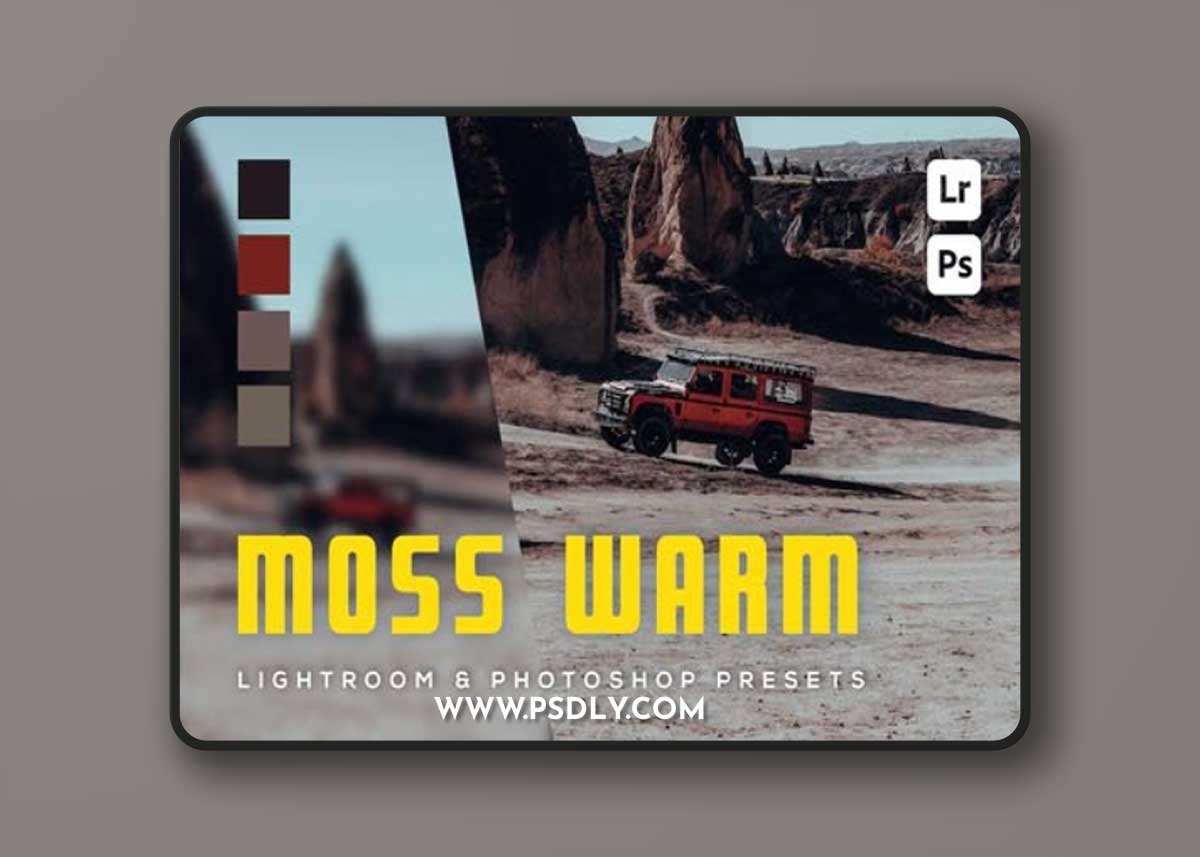 6 Moss Warm Lightroom and Photoshop Presets
